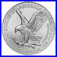 10_Coins_American_1_Oz_999_Fine_Silver_Eagle_1_Coin_BU_UK_2024_Lot_of_Hot_New_01_oli