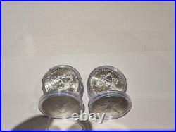 10 x 1oz Fine Silver American Eagle 2019 Coins In Capsules