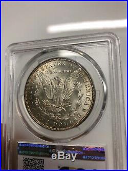 1891-CC Spitting Eagle TOP 100 PCGS MS64+ CAC Silver MORGAN Dollar VAM 3