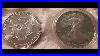 1986_American_Silver_Eagle_Coin_Proof_Coin_Vs_Uncirculated_Coin_01_vy