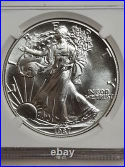 1987 American Silver Eagle MS-69 NGC N A215 (Combined shipping) 1987 American Silver Eagle MS-69 NGC N A215 (Combined shipping)