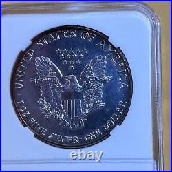 1987 Silver Eagle. Vivid Toning. See Pictures