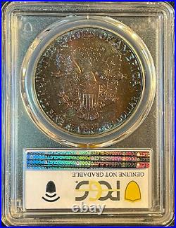 1988 $1 American Silver Eagle Monster Toned Rim Toning PCGS Truview UNC Detail