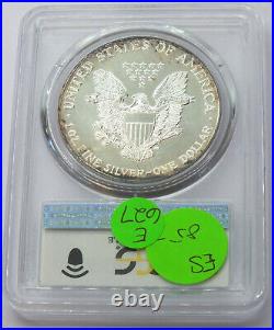 1988 American Eagle 1 oz Silver Dollar PCGS Genuine UNC Detail Toning E627