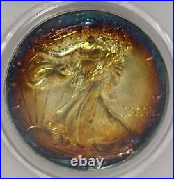 1989 $1 Rainbow Toned Silver Eagle ASE PCGS Genuine Unc Quest Color? LH657