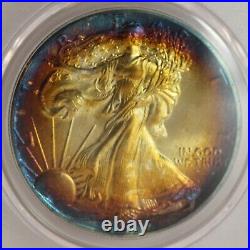 1989 $1 Rainbow Toned Silver Eagle ASE PCGS Genuine Unc Quest Color? LH657