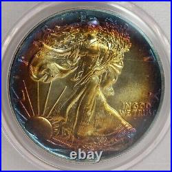 1989 $1 Rainbow Toned Silver Eagle ASE PCGS Genuine Unc Quest Color? LH657