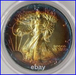 1989 $1 Rainbow Toned Silver Eagle ASE PCGS Genuine Unc Quest Color? LH657