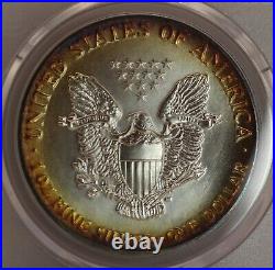 1989 $1 Rainbow Toned Silver Eagle ASE PCGS Genuine Unc Quest Color? LH657