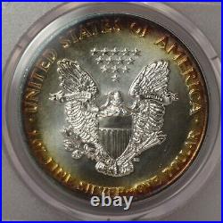 1989 $1 Rainbow Toned Silver Eagle ASE PCGS Genuine Unc Quest Color? LH657