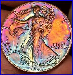 1989 MONSTER Toned 1 OZ American Silver Eagle