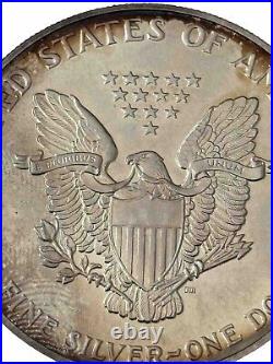 1990 American Silver Eagle Dollar $1 Coin UNC Beautifully Toned