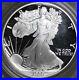 1990_S_American_Eagle_Silver_Proof_Doubled_Die_WDDO_001_Discovery_Coin_01_hjty