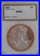 1991_Silver_Eagle_1_One_Dollar_Coin_MS68_in_PCI_Holder_1oz_Neon_Yellow_Toning_01_lh