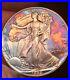 1992_1_oz_Silver_American_Eagle_Brilliant_Uncirculated_Monster_Toned_01_ma