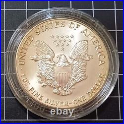 1992 American Silver Eagle Coin Mint With Case