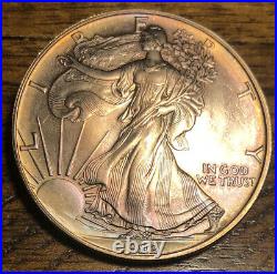 1992 American Silver Eagle Rainbow Toned 1 Oz. 99 Fine Silver Nice Toning A1965