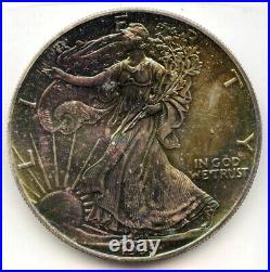 1995 American Eagle 1 oz Fine Silver Dollar -US Mint Toned Bullion Coin DM595
