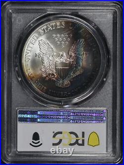 1995 American Silver Eagle PCGS MS-67 Dark Rainbow Toning
