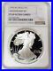 1995_W_Proof_American_Silver_Eagle_1_Anniversary_Coin_Ngc_Pf_69_Uc_01_el