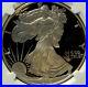 1995_W_Proof_Silver_Eagle_Ngc_Pf_69_Ultra_Cameo_01_qmky