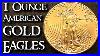 1_Ounce_American_Gold_Eagle_Coins_Good_For_Gold_Investing_01_px