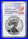 1oz_Silver_2019_W_US_Eagle_Enhanced_Reversed_NGC_PF_69_early_release_POTN_01_ua
