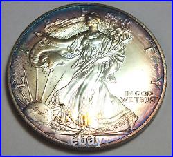 2001 American Eagle 1 oz Silver Dollar Toning Toned Coin ounce Bullion CC557