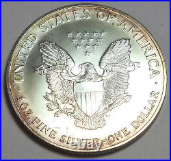 2001 American Eagle 1 oz Silver Dollar Toning Toned Coin ounce Bullion CC557