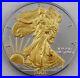 2003_American_Silver_Eagle_1oz_SILVER_Coin_with_24K_GOLD_GILDED_BU_UNCIRCULATED_01_rj