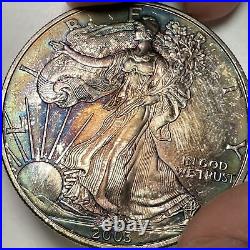 2003 Rainbow Toning Silver Eagle Brilliant Uncirculated BU Coin #11082