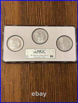 2004-2006 MS69 American Silver Eagles NGC Brown Label