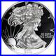 2004_Federal_Coin_Fund_Giant_Silver_Eagle_12_oz_999_Fine_Silver_Proof_Round_01_azfh