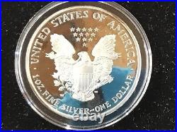 2004-W American Silver Eagle DCAM Proof with Display Case E0523