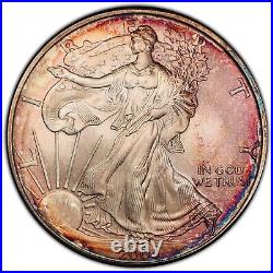 2005 American Silver Eagle PCGS MS66 Nicely Toned Registry Coin TV $1 ASE 1 oz