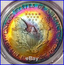 2005 American Silver Eagle PCGS MS68 Gorgeous Vivid Rainbow Tone Toner Toned