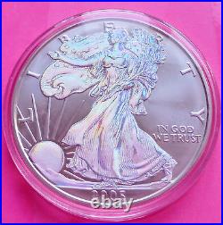 2005 Silver Eagle $1 One Dollar Coin- Lovely Coin With Box And Coa 2005 Silver Eagle $1 One Dollar Coin- Lovely Coin With Box And Coa