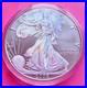 2005_Silver_Eagle_1_One_Dollar_Coin_Lovely_Coin_With_Box_And_Coa_01_cw