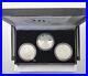 2006_20th_ANNIVERSARY_SILVER_EAGLE_3_COIN_SET_OGP_COA_Burn_Proof_Rev_Proof_01_bk