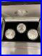 2006_American_Eagle_20th_Anniversary_Silver_Coin_Set_includes_Reverse_Nice_Set_01_rbt
