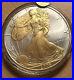 2006_Fine_Silver_Liberty_American_Silver_Eagle_1oz_1_Dollar_With_Gold_Relief_01_lgpy