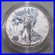 2006_REVERSE_PROOF_AMERICAN_EAGLE_BU_CONDITION_Two_available_01_xgmx