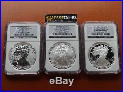 2006 W P 3 Coin Silver Eagle Ngc Ms70 / Pf70 20th Anniversary Set Black Label