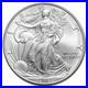 2007_1oz_American_Silver_Eagle_Bullion_Coin_Airtites_Capsule_01_suz
