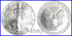 2007 1oz American Silver Eagle Bullion Coin. Airtites Capsule