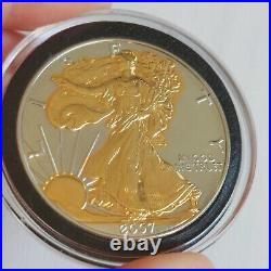 2007 Dark RUTHENIUM 1 Oz 999 Silver American Eagle Coin 24K Gold Gilded 2-Side