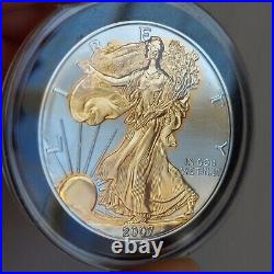 2007 Dark RUTHENIUM 1 Oz 999 Silver American Eagle Coin 24K Gold Gilded 2-Side