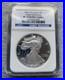 2007_W_American_Silver_Eagle_PF70_Ngc_01_nrue