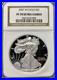 2007_W_Silver_Eagle_NGC_PF_70_UCAM_01_ni
