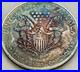 2008_American_Silver_Eagle_BU_Heavy_Toning_Beautiful_Color_01_oby